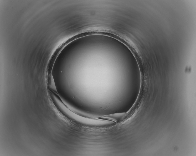 X0000090980981200708161852