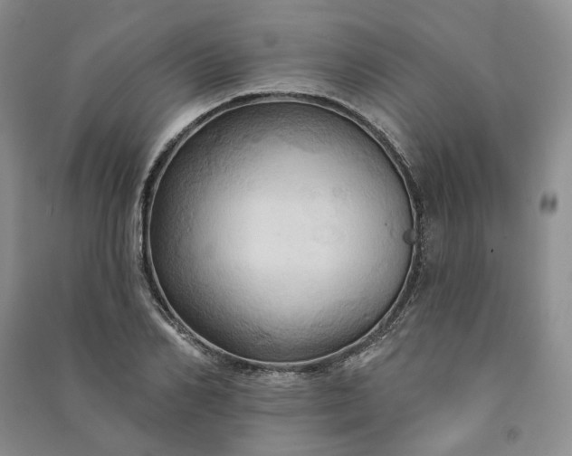 X0000090980982200708161852
