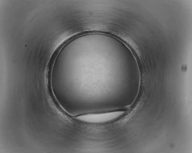 X0000090980983200708161852