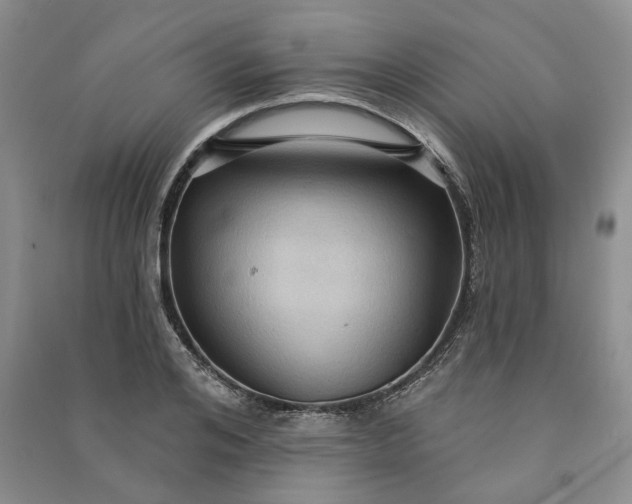 X0000090980984200708161852