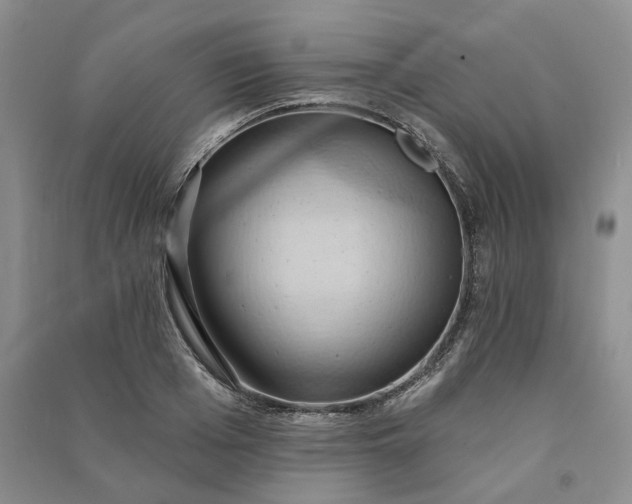 X0000090980985200708161852