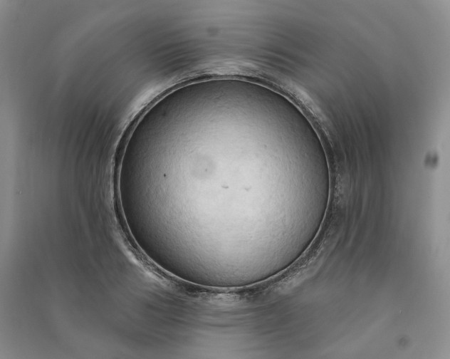 X0000090980986200708161852