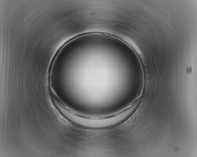 X0000090980996200708161852