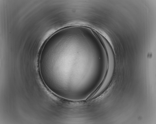 X0000090980997200708161852