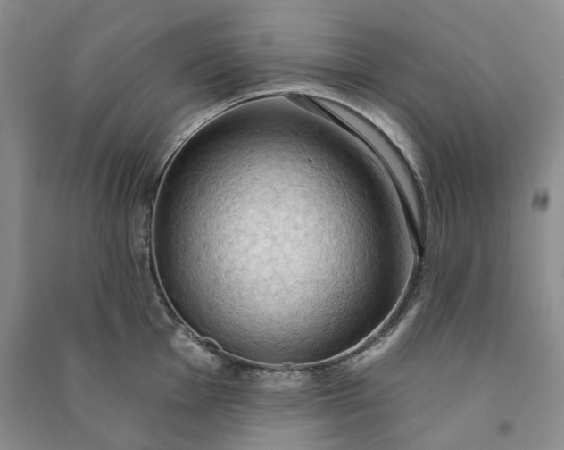 X0000090981001200708161852