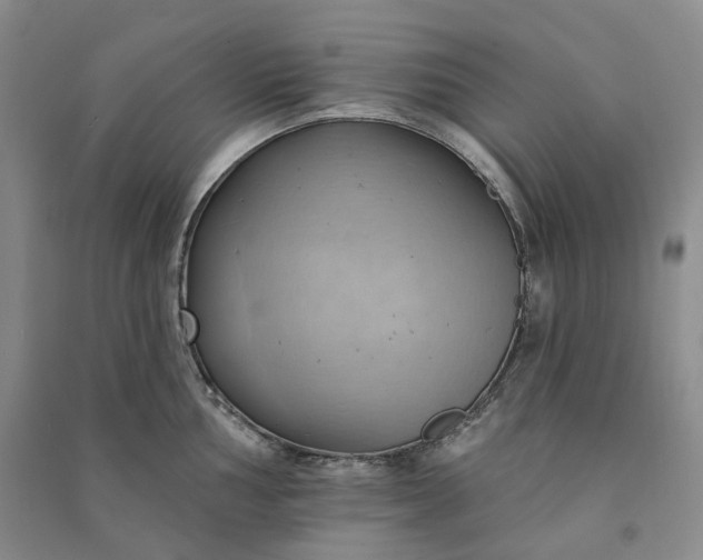 X0000090981002200708161852