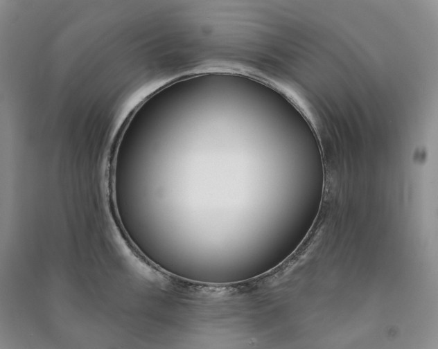 X0000090981003200708161852