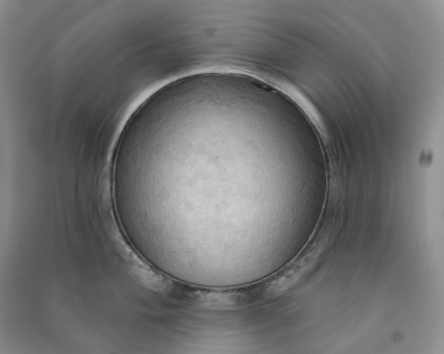 X0000090981004200708161852