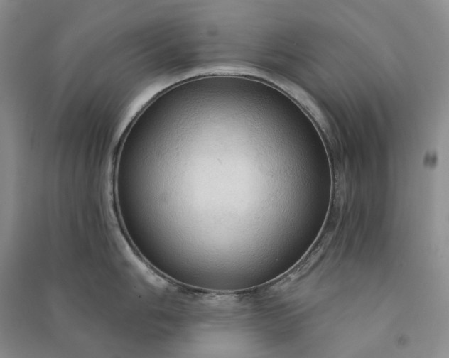 X0000090981006200708161852