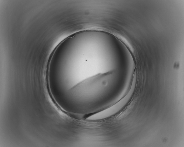 X0000090981007200708161852