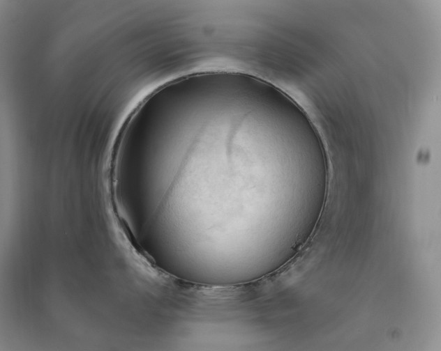 X0000090981008200708161852