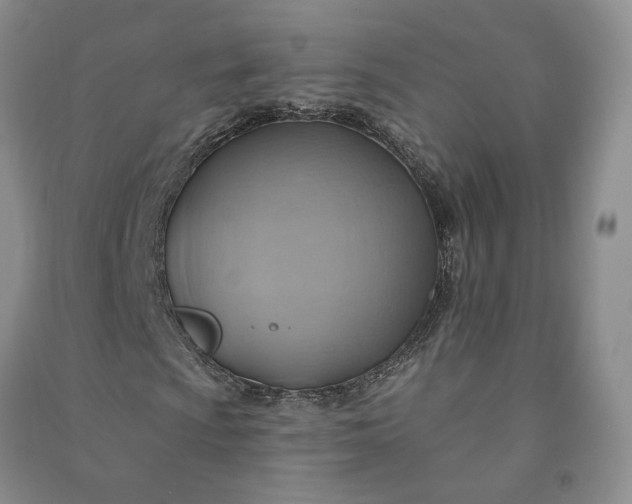 X0000090981009200708161851