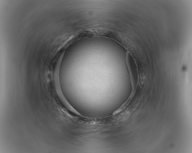 X0000090981010200708161851