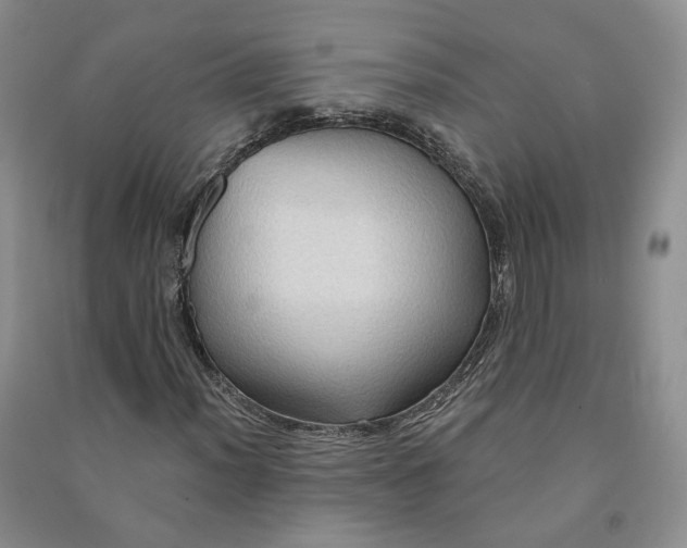 X0000090981012200708161851