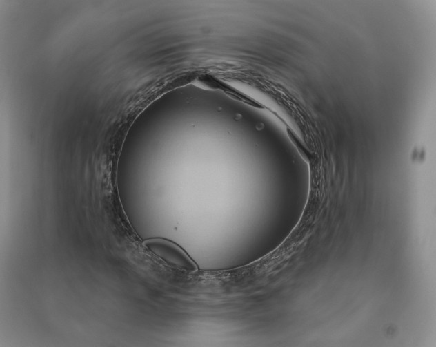 X0000090981013200708161851