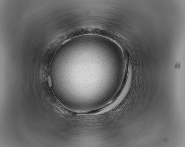 X0000090981014200708161851