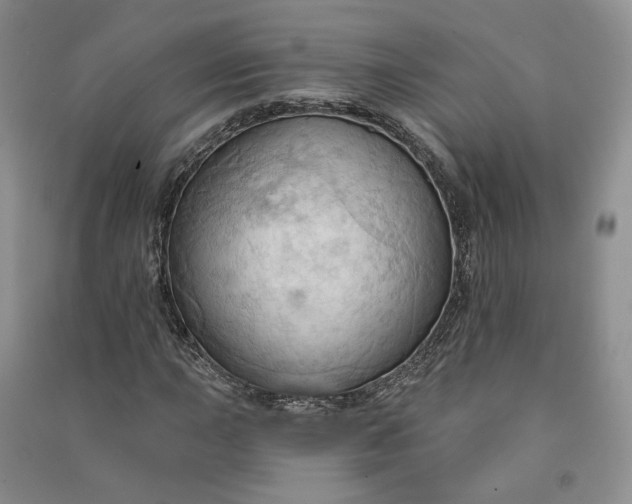 X0000090981015200708161851