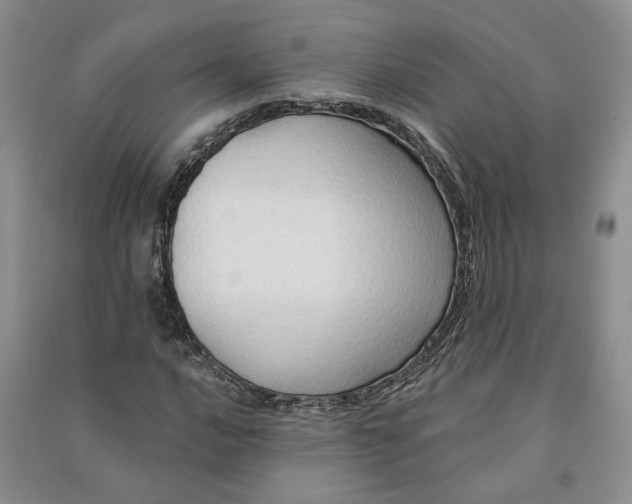X0000090981016200708161851