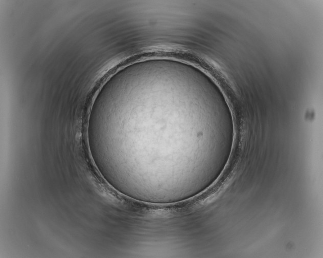X0000090981017200708161851