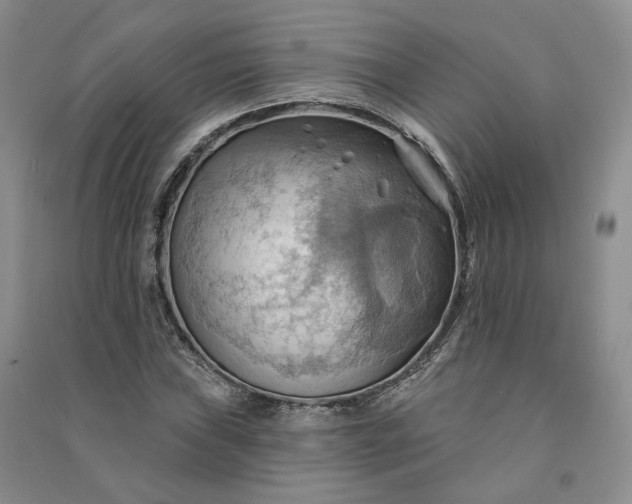 X0000090981019200708161851