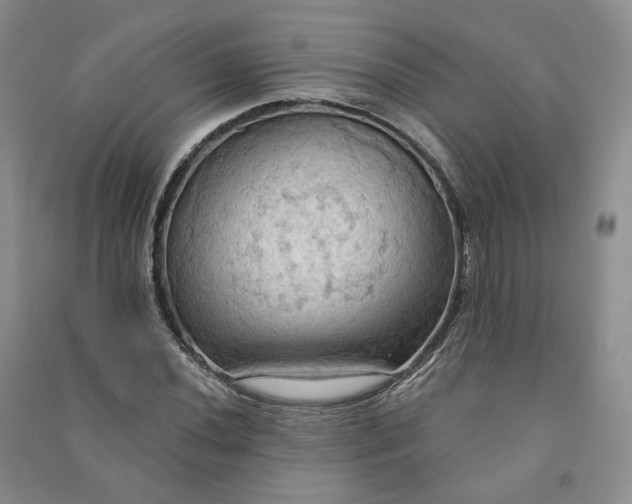 X0000090981020200708161851