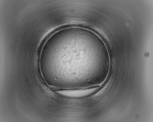 X0000090981021200708161851