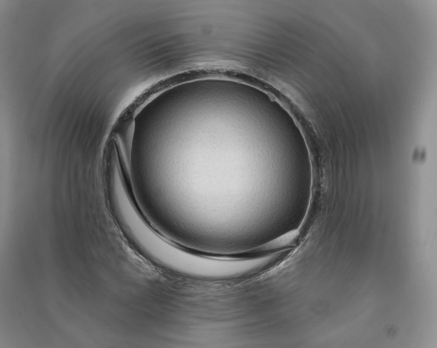 X0000090981022200708161851