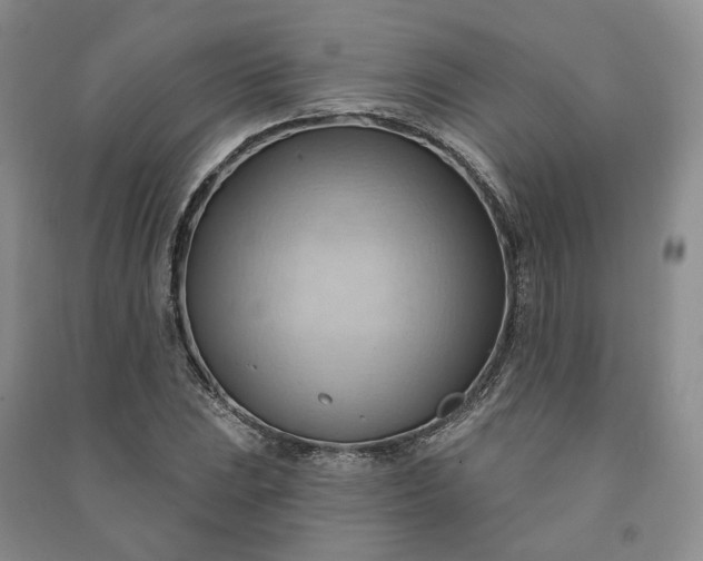 X0000090981023200708161851