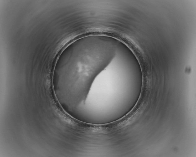 X0000090981025200708161851