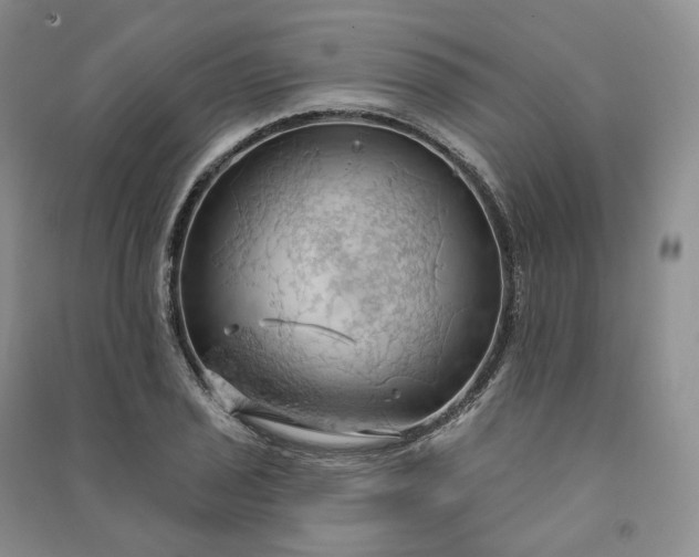 X0000090981029200708161851