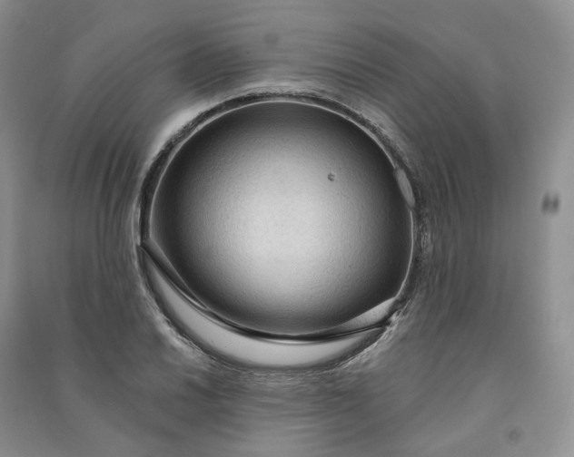 X0000090981030200708161851
