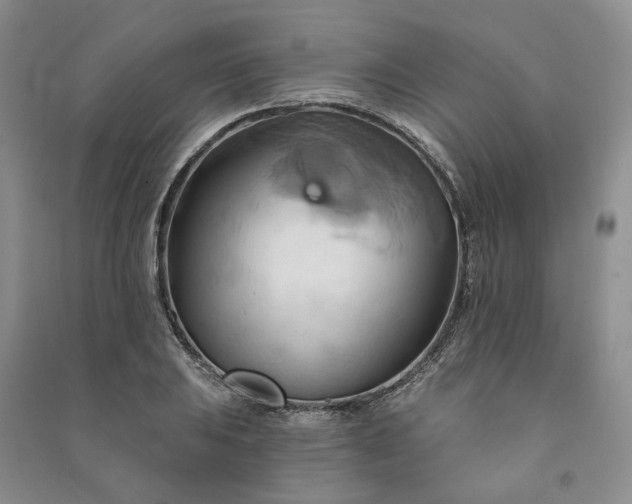X0000090981031200708161851