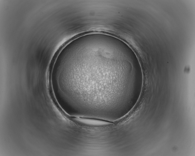X0000090981032200708161851