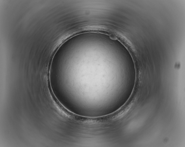X0000090981033200708161851