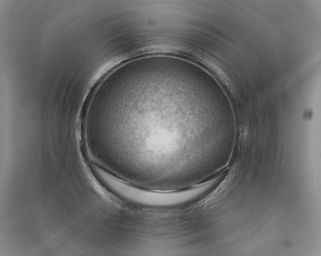 X0000090981034200708161851