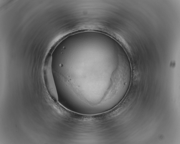 X0000090981035200708161851