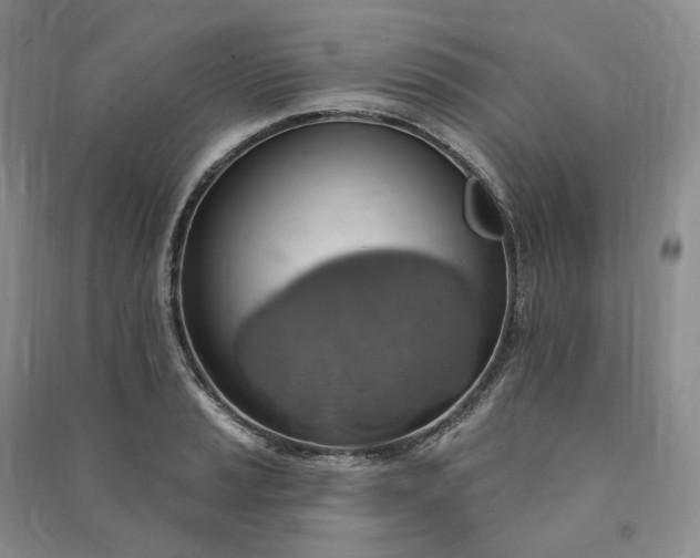 X0000090981037200708161851