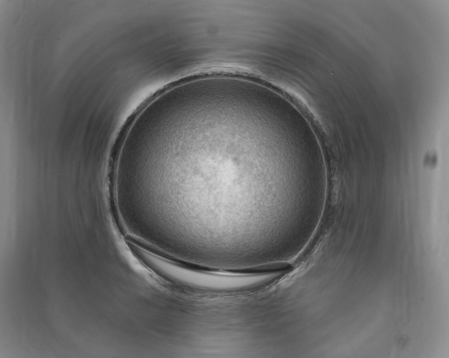 X0000090981038200708161852