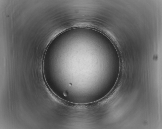 X0000090981041200708161852