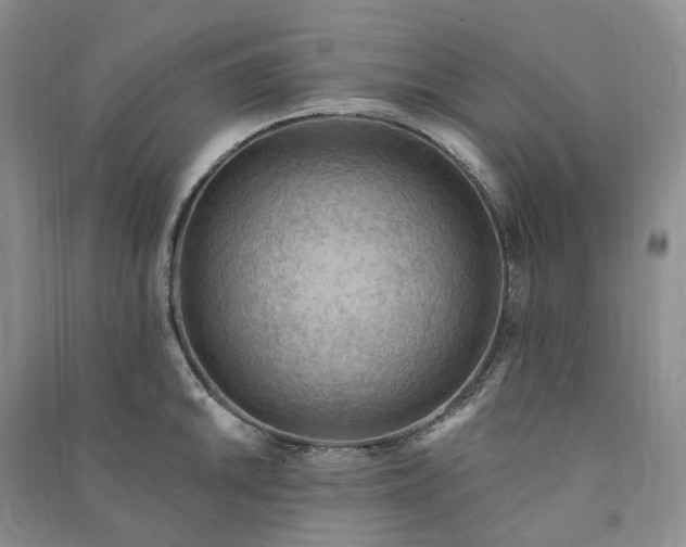 X0000090981046200708161852