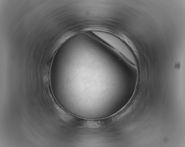 X0000090981049200708161852