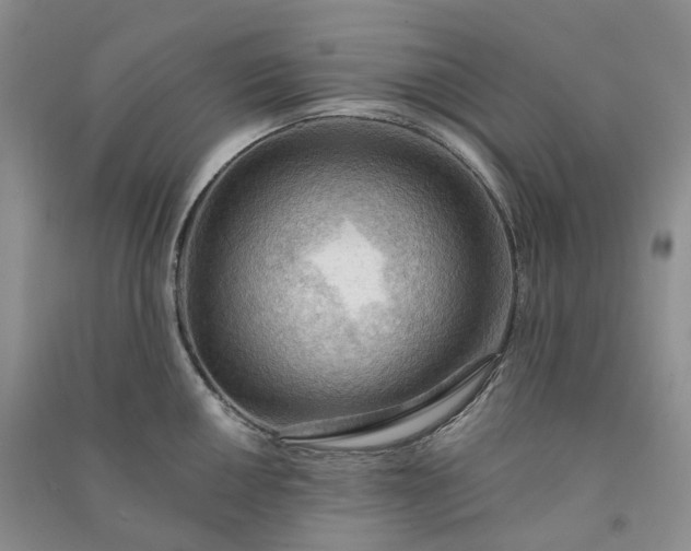 X0000090981050200708161852