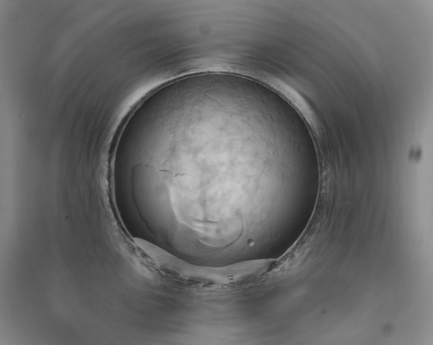 X0000090981051200708161852