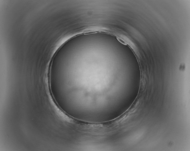 X0000090981055200708161852