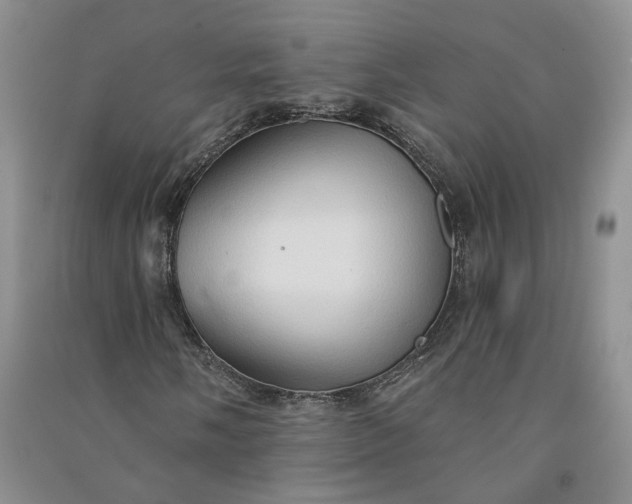 X0000090981058200708161851