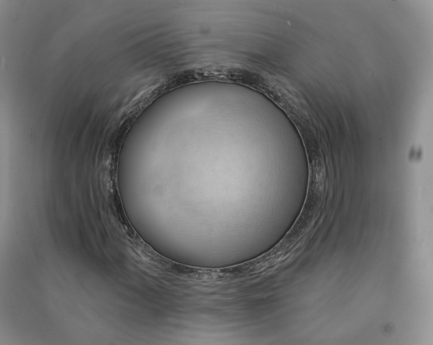 X0000090981060200708161851