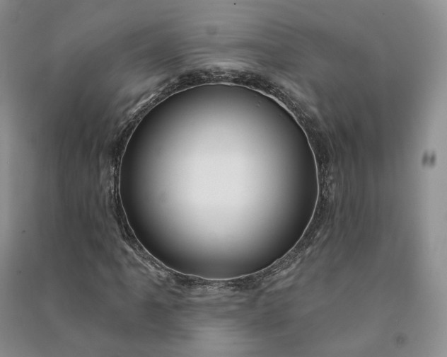 X0000090981061200708161851