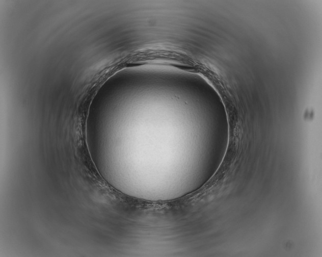X0000090981062200708161851