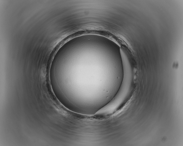 X0000090981065200708161851