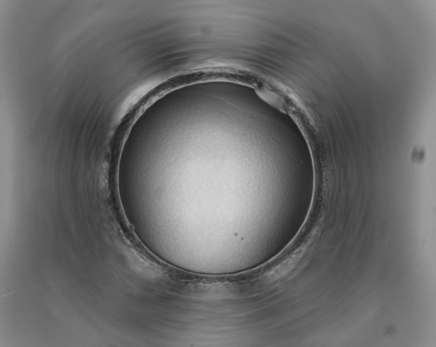 X0000090981066200708161851